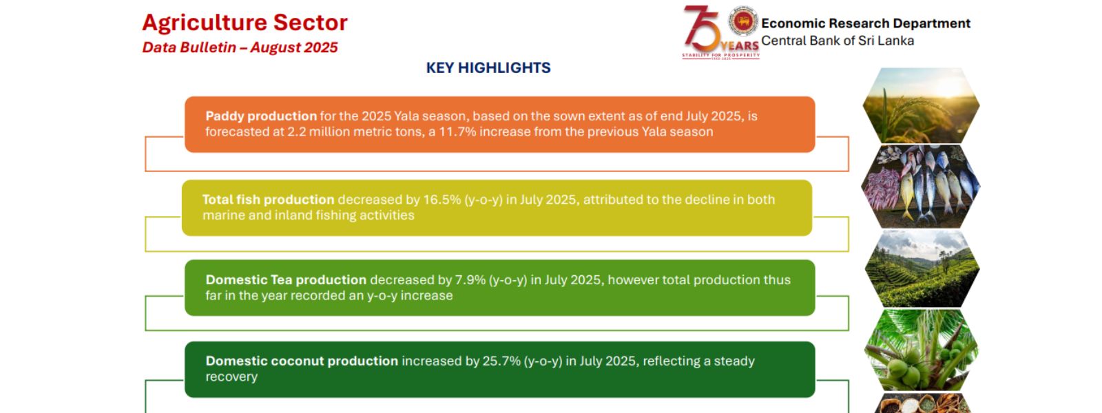 SL’s Paddy Boom: 11.7% Growth in Yala Season